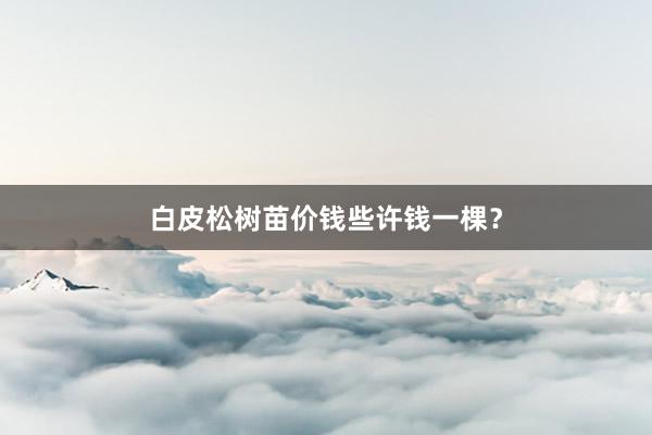 白皮松树苗价钱些许钱一棵？