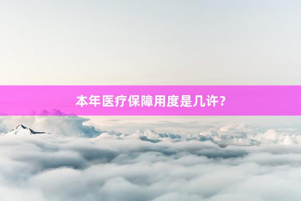 本年医疗保障用度是几许？