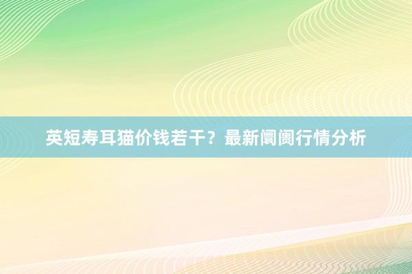 英短寿耳猫价钱若干？最新阛阓行情分析