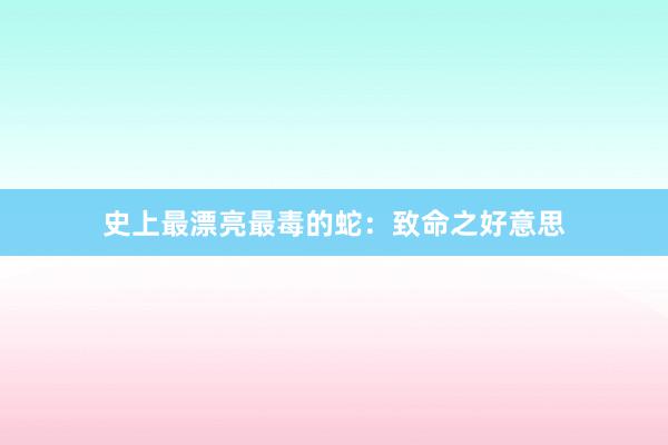 史上最漂亮最毒的蛇：致命之好意思