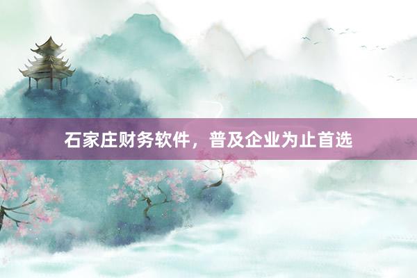 石家庄财务软件，普及企业为止首选